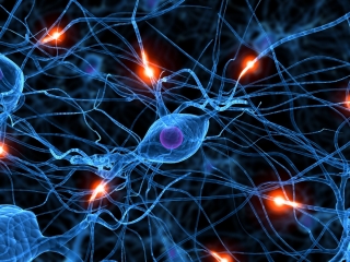 neurons2_0