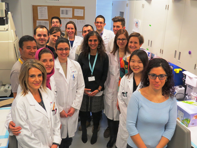 L'équipe de la Dre Jabado du programme en santé de l’enfant et en développement humain de l’IR-CUSM dans leur laboratoire au Centre de biologie translationnelle (site Glen). 